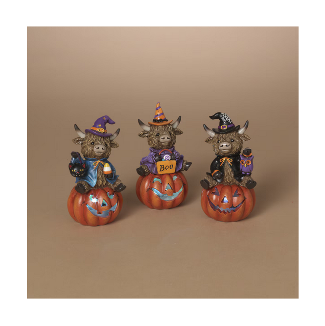 Gerson Halloween Decor - LED Lighted Resin Pumpkin Highland Cow 3pc