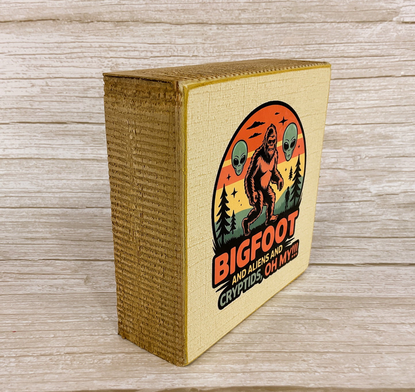 AGSD Home Decor - Bigfoot Aliens Cyrtids Oh My Box Sign