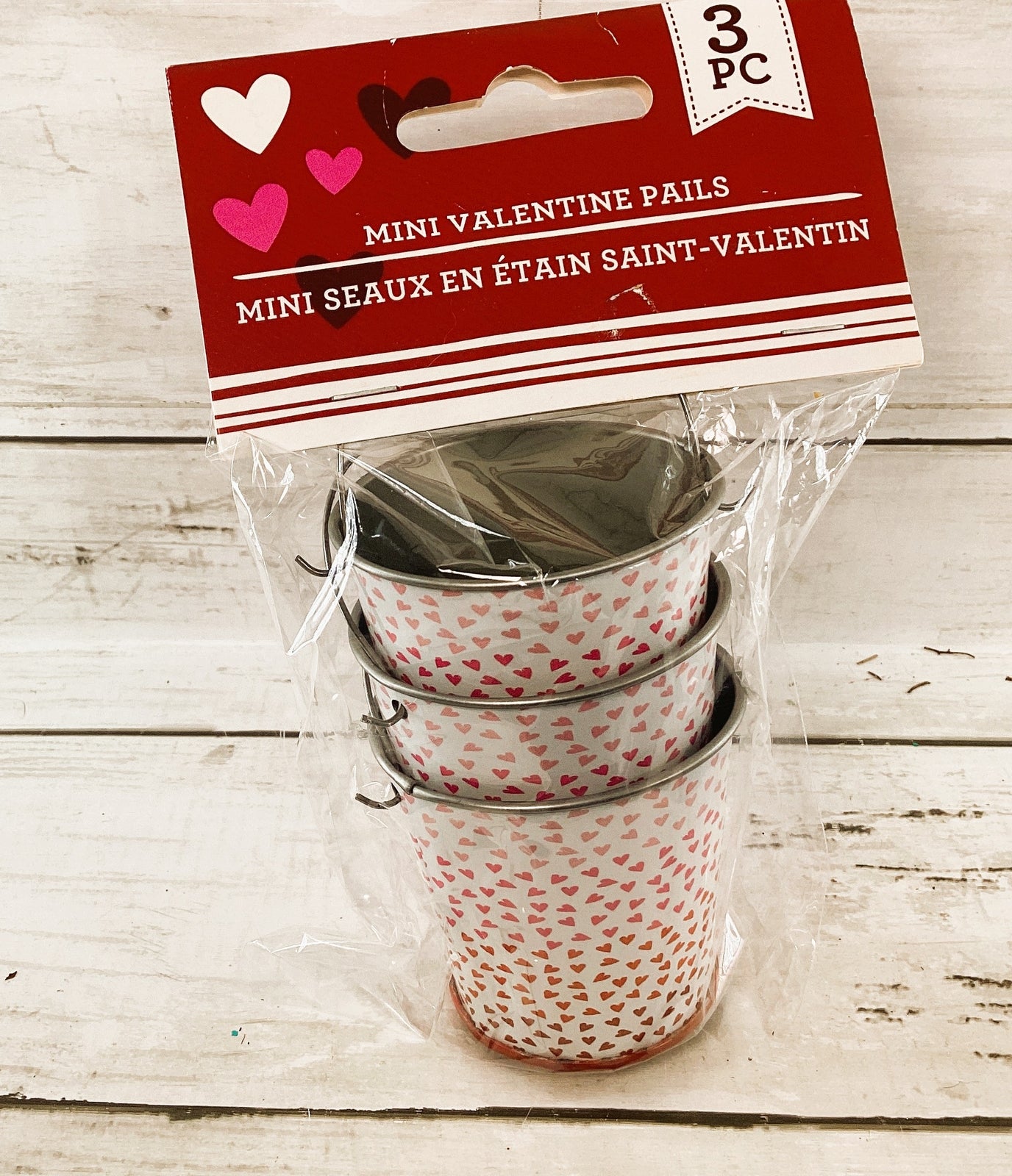 DT Craft Supply - Ombre Hearts Small Mini Pails 3pc Set