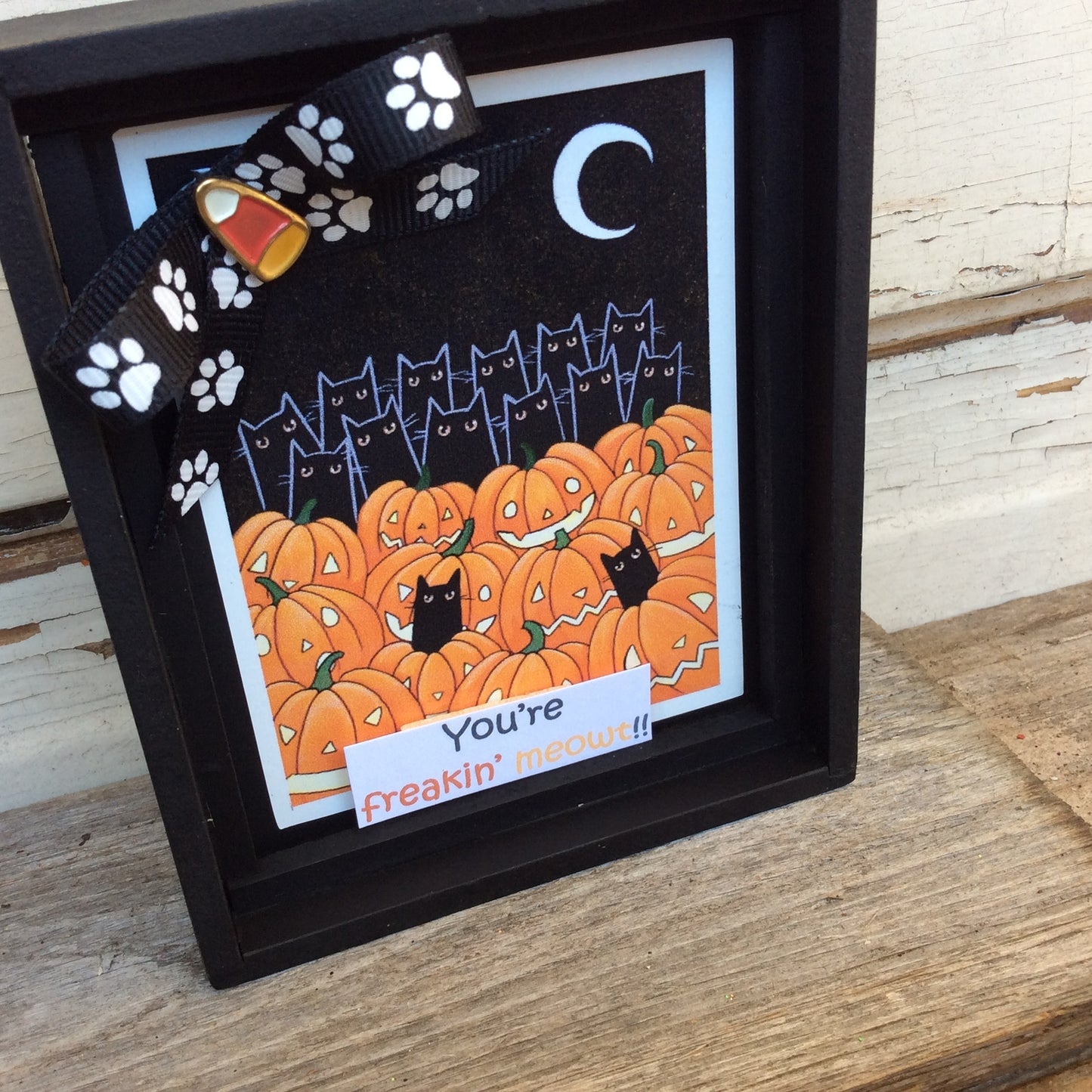 AGD Halloween Decor - You're Freakin Meowt Cat Box Sign