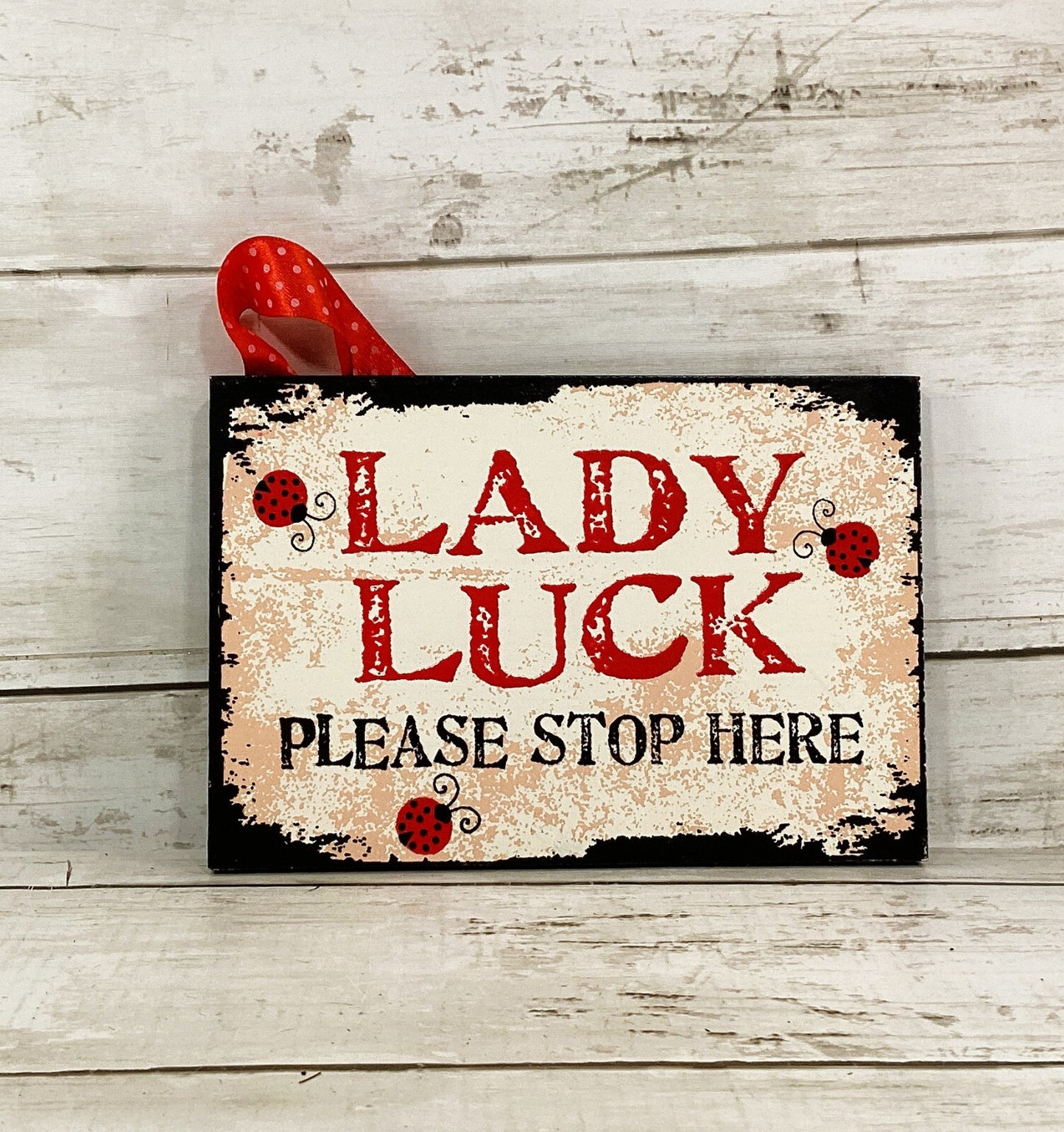 OWI Summer Decor - Lady Luck Ladybug Small Sign Ornament