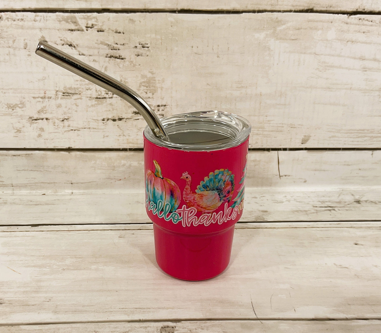 AGD Fall Decor - Pastel Multi Seasons Halloween Christmas Mini Tumbler