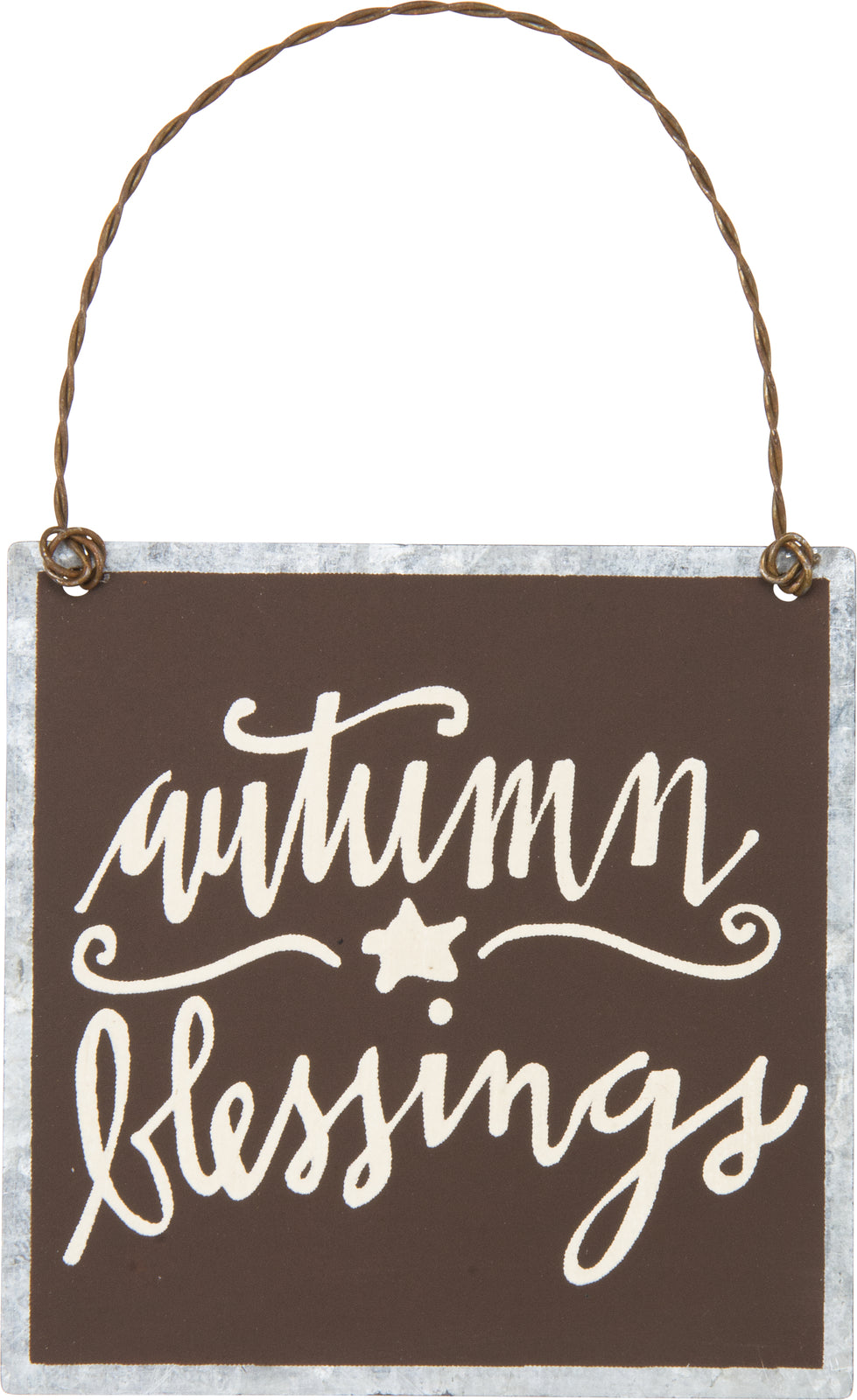 PBK Fall Decor - Give Thanks & Autumn Blessings Ornament 2pc Set