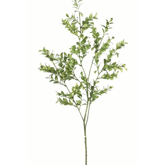 RAZ Imports Christmas Decor - Boxwood Glitter Floral Greenery Spray Picks (12)