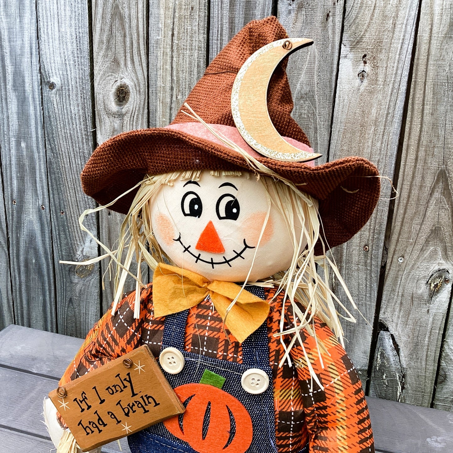 AGD Fall Decor - If I Only Had A Brain Standing Scarecrow