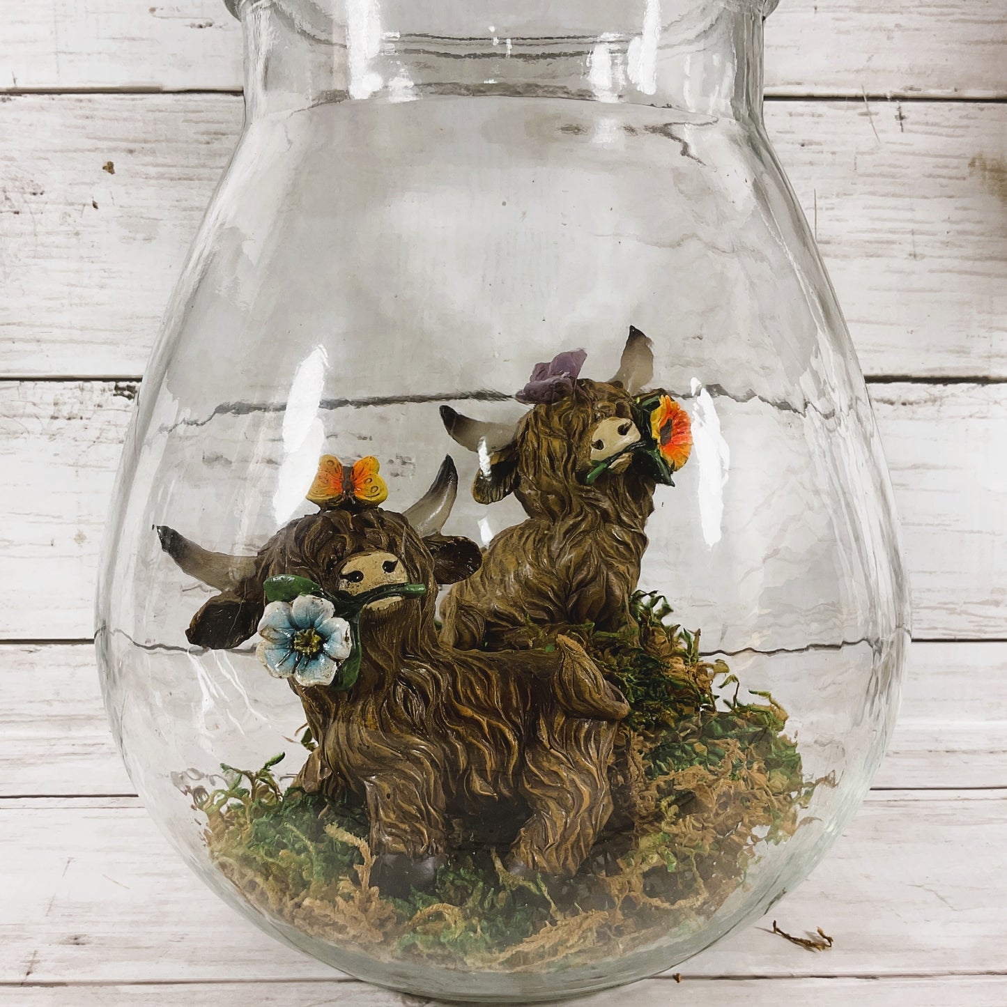 AGD Spring Decor - Lighted Terrarium Highland Cow Set