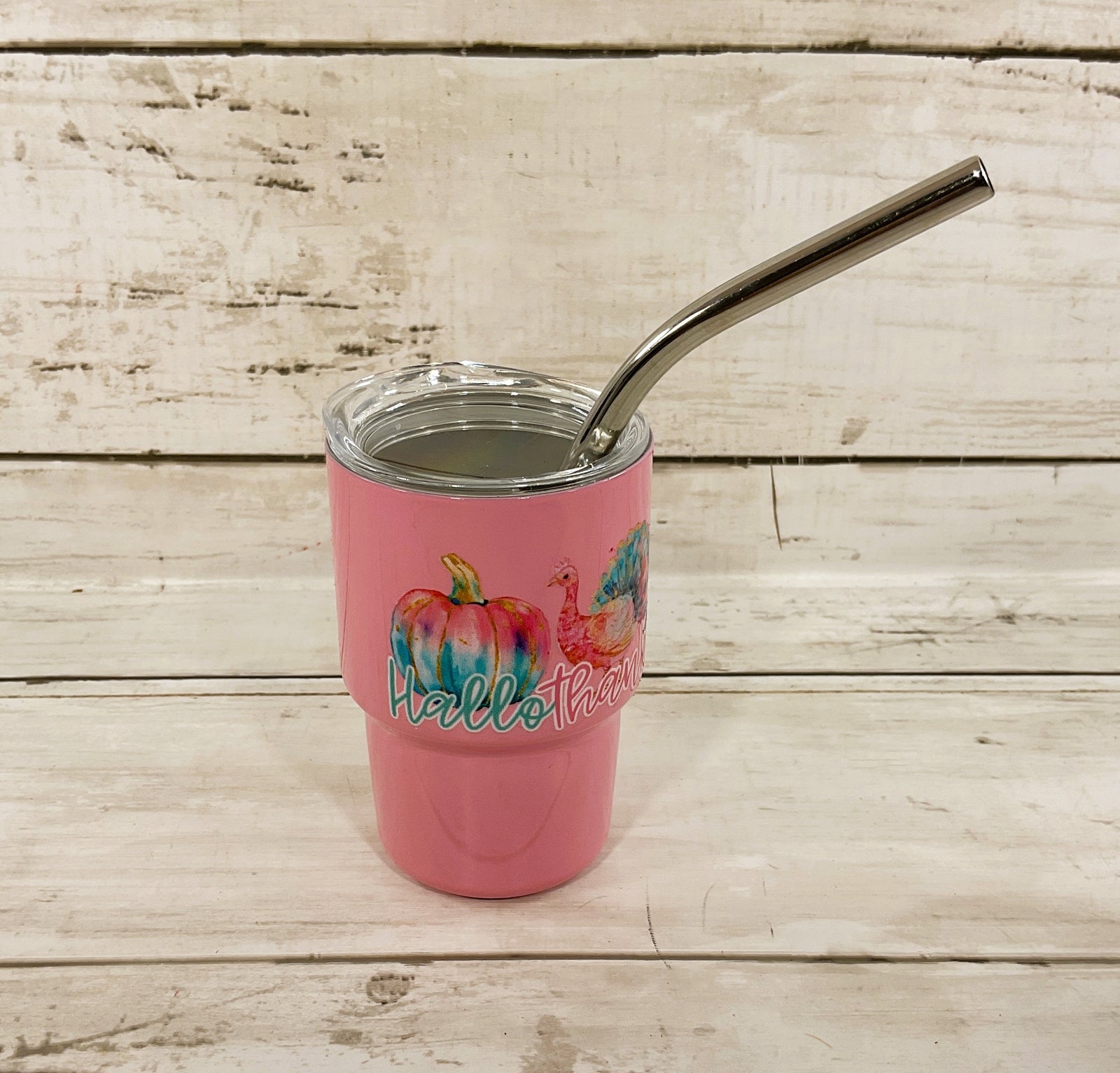 AGD Fall Decor - Pastel Multi Seasons Halloween Christmas Mini Tumbler