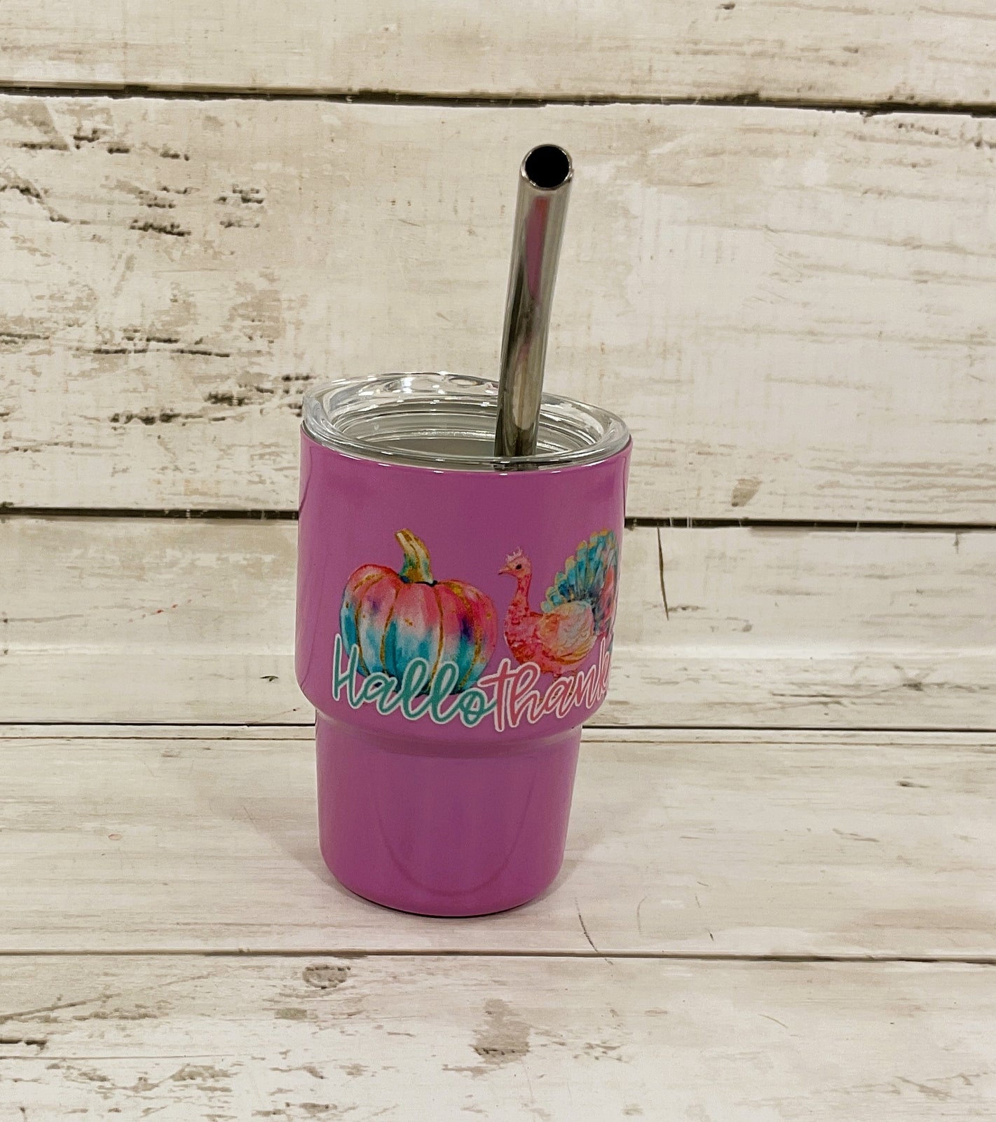 AGD Fall Decor - Pastel Multi Seasons Halloween Christmas Mini Tumbler