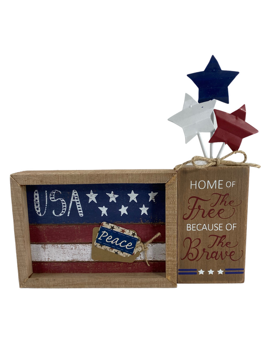 AGD Patriotic Decor - USA Wood Sign and Brave Firecracker 2pc