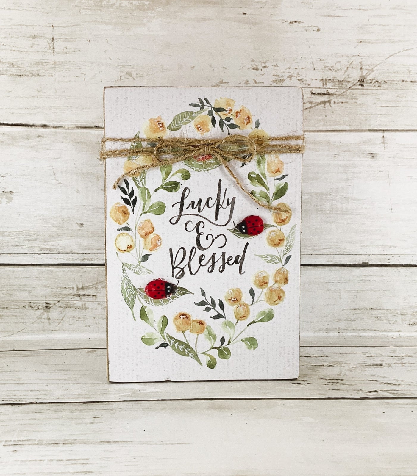 AGD St Patrick's Decor - Blessed & Lucky Gnome Chunky Wagon Sign 2pc Set