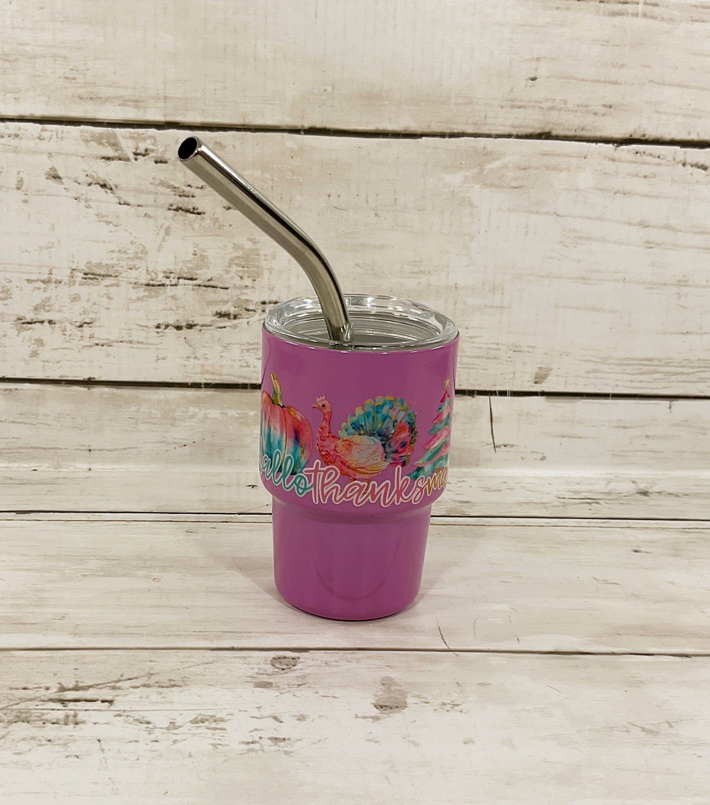 AGD Fall Decor - Pastel Multi Seasons Halloween Christmas Mini Tumbler