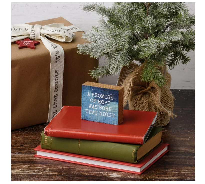 PBK Christmas Decor - Nativity A Promise of Hope Born Block Sign