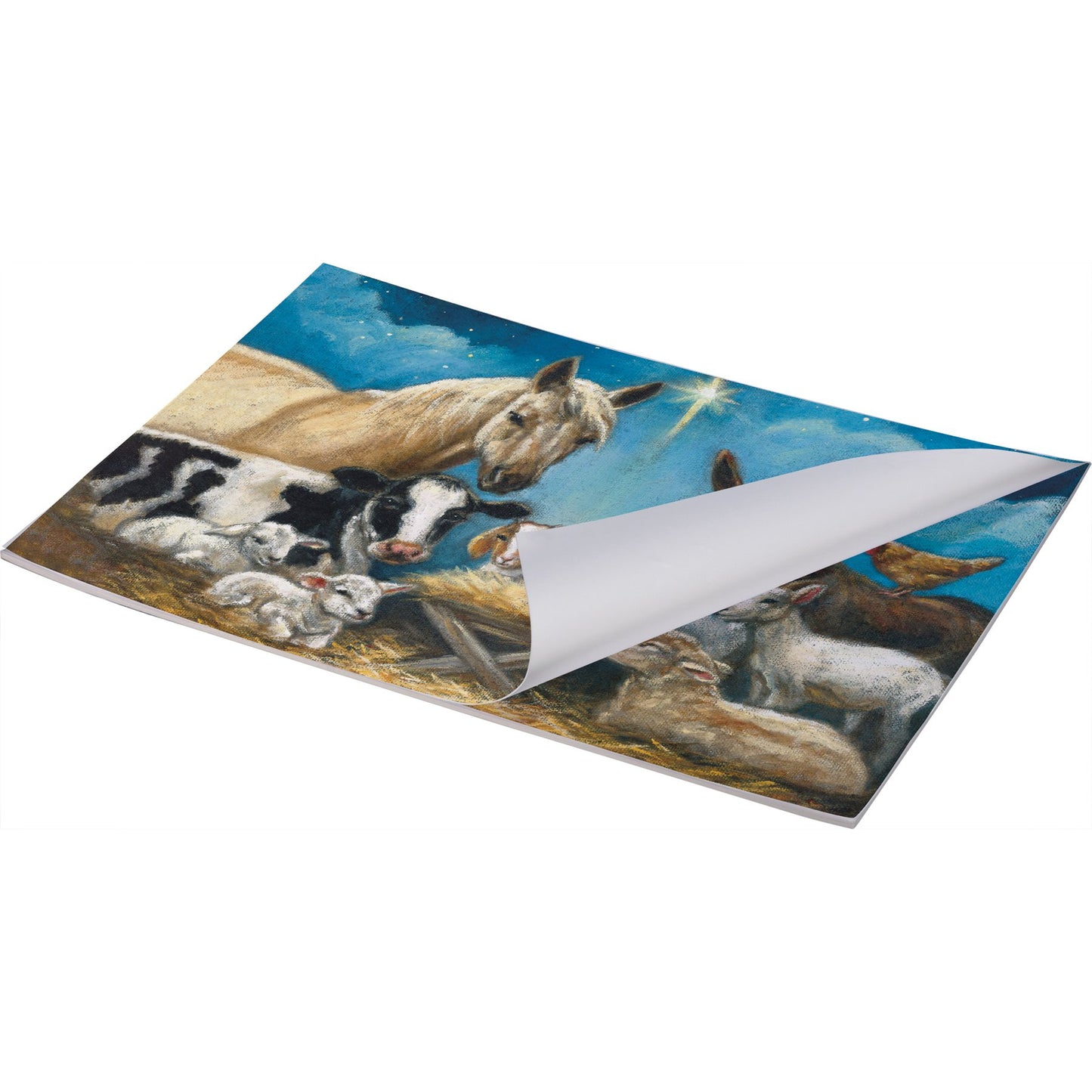 PBK Christmas Decor - Nativity Barn Animals Paper Placemats 24pc