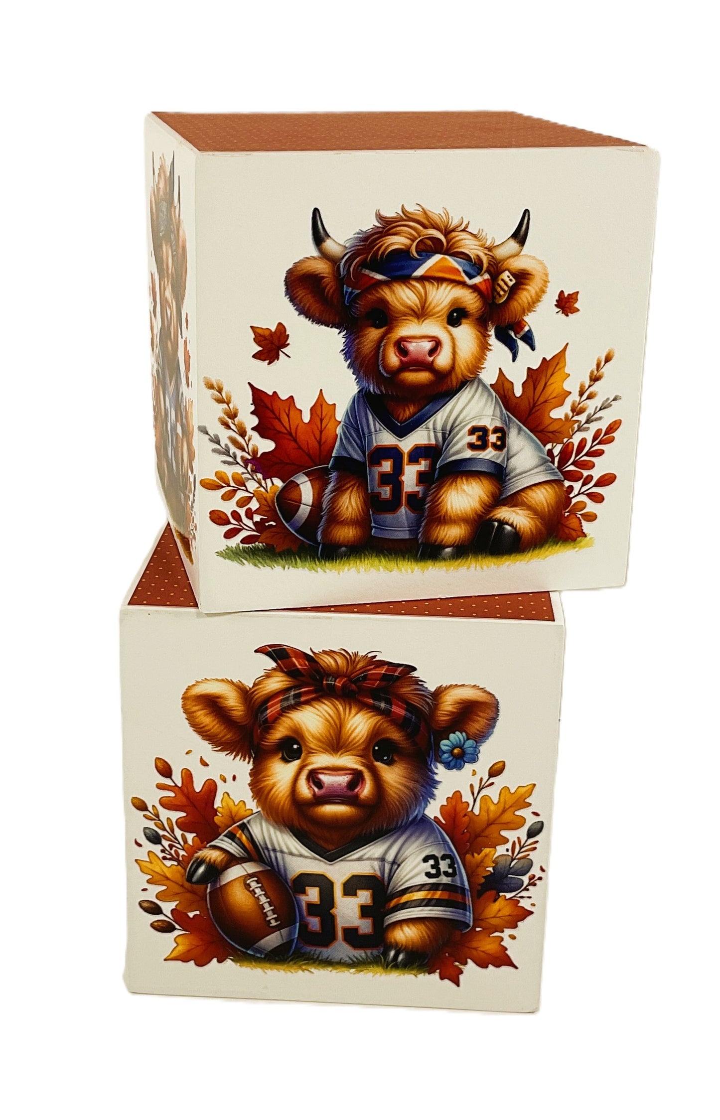 AGD Fall Decor - Football Theme Baby Highland Cow Block Signs 2pc