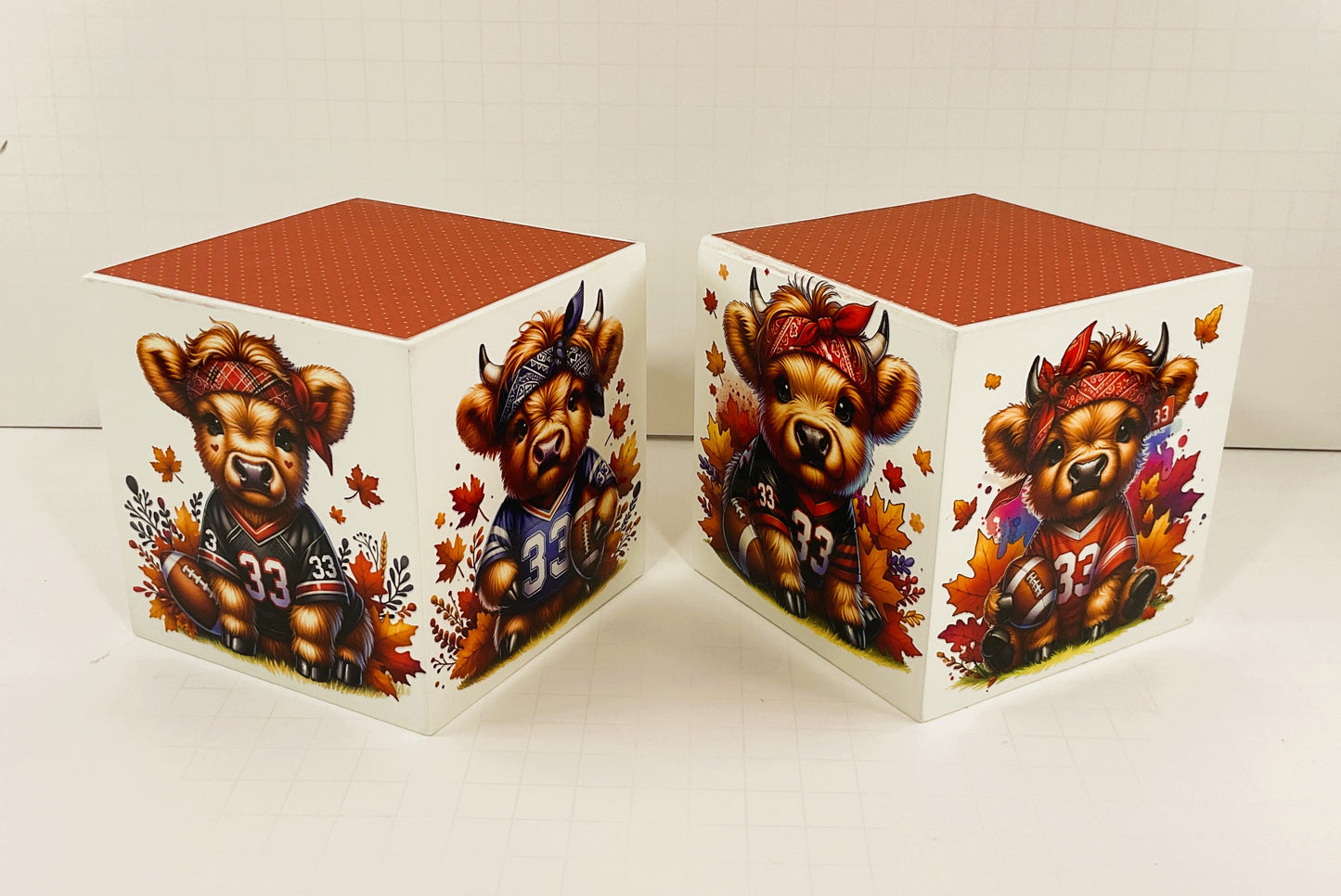 AGD Fall Decor - Football Theme Baby Highland Cow Block Signs 2pc