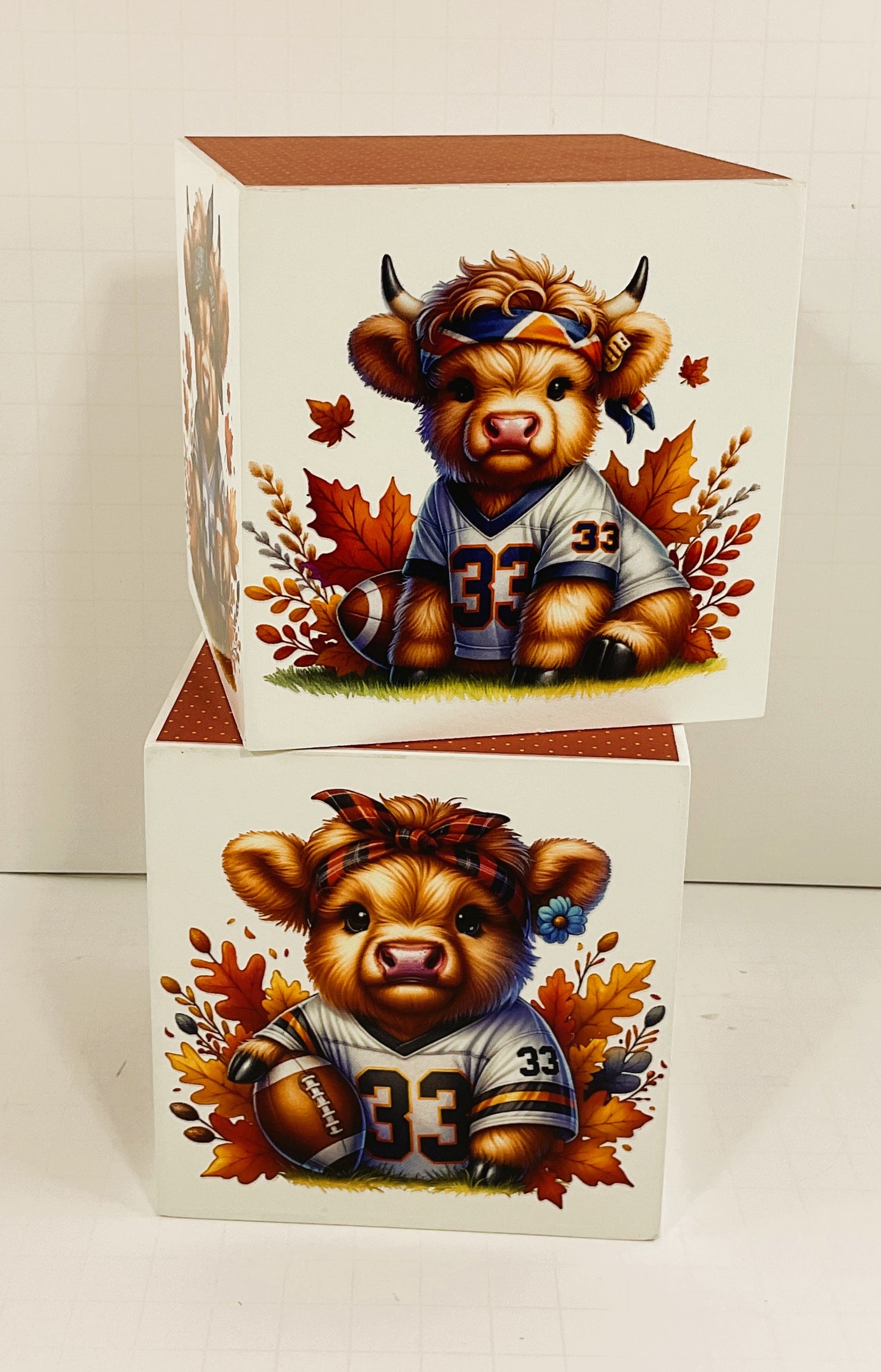 AGD Fall Decor - Football Theme Baby Highland Cow Block Signs 2pc