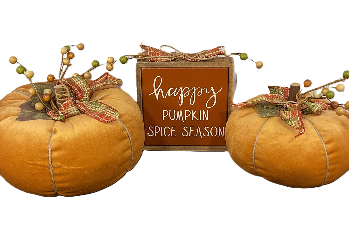 AGSD Fall Home Decor - Soft Orange Velvet  Spice Pumpkins Various Designs