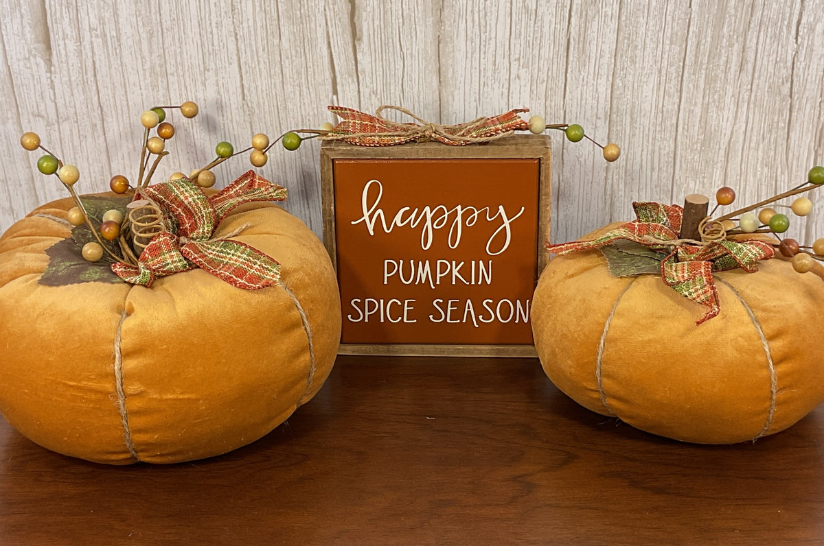 AGSD Fall Home Decor - Soft Orange Velvet  Spice Pumpkins Various Designs
