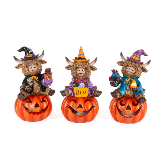 Gerson Halloween Decor - LED Lighted Resin Pumpkin Highland Cow 3pc