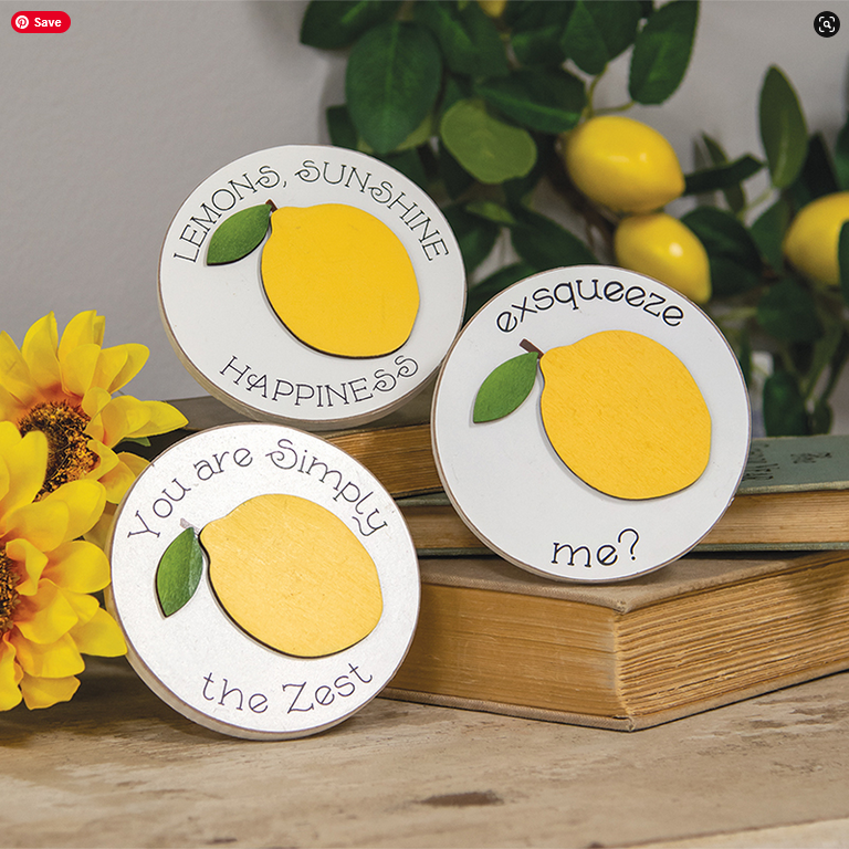 CWI Spring Decor - Small Lemon Theme Easel Signs 3pc Set