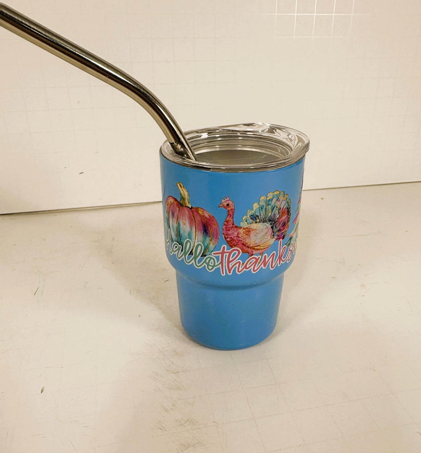 AGSD Fall Decor - Pastel Multi Seasons Halloween Christmas Mini Tumbler