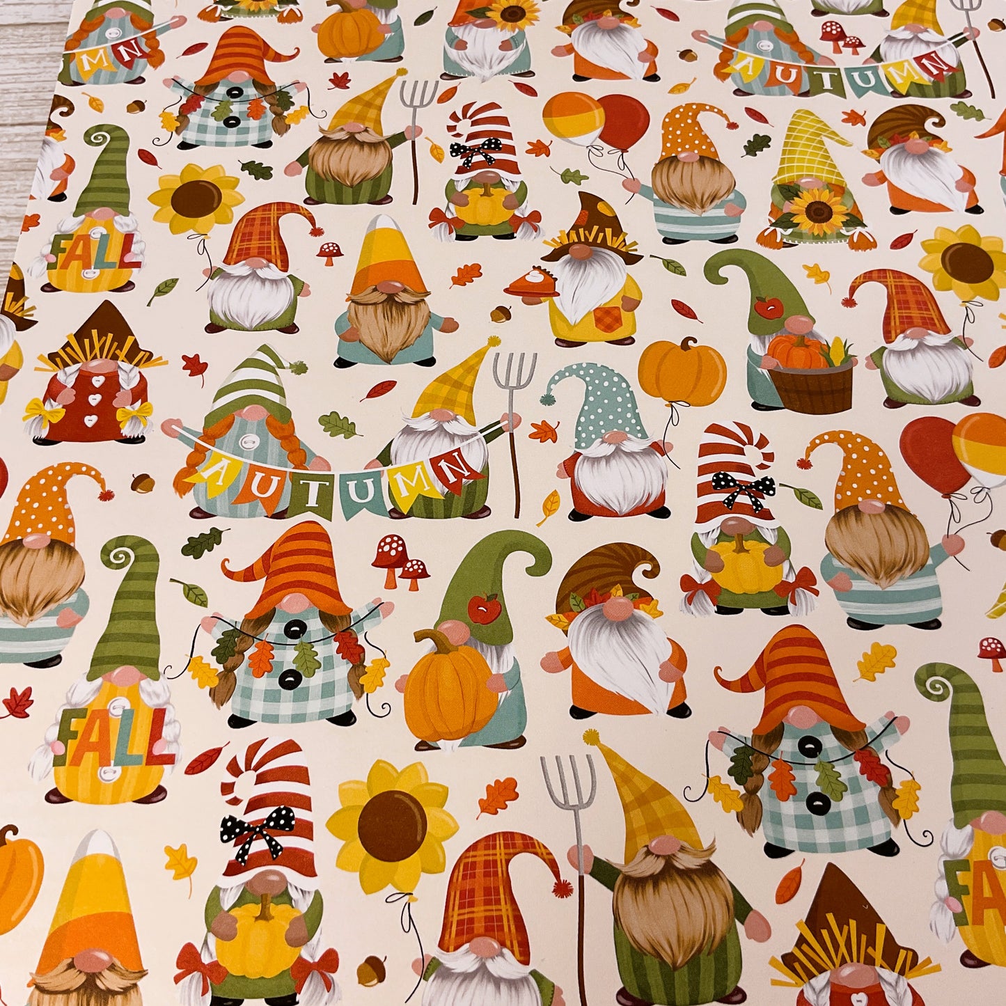 Hobby Lobby Scrapbook Paper – Seasonal Gnome 12 x12-inch 18pc Set