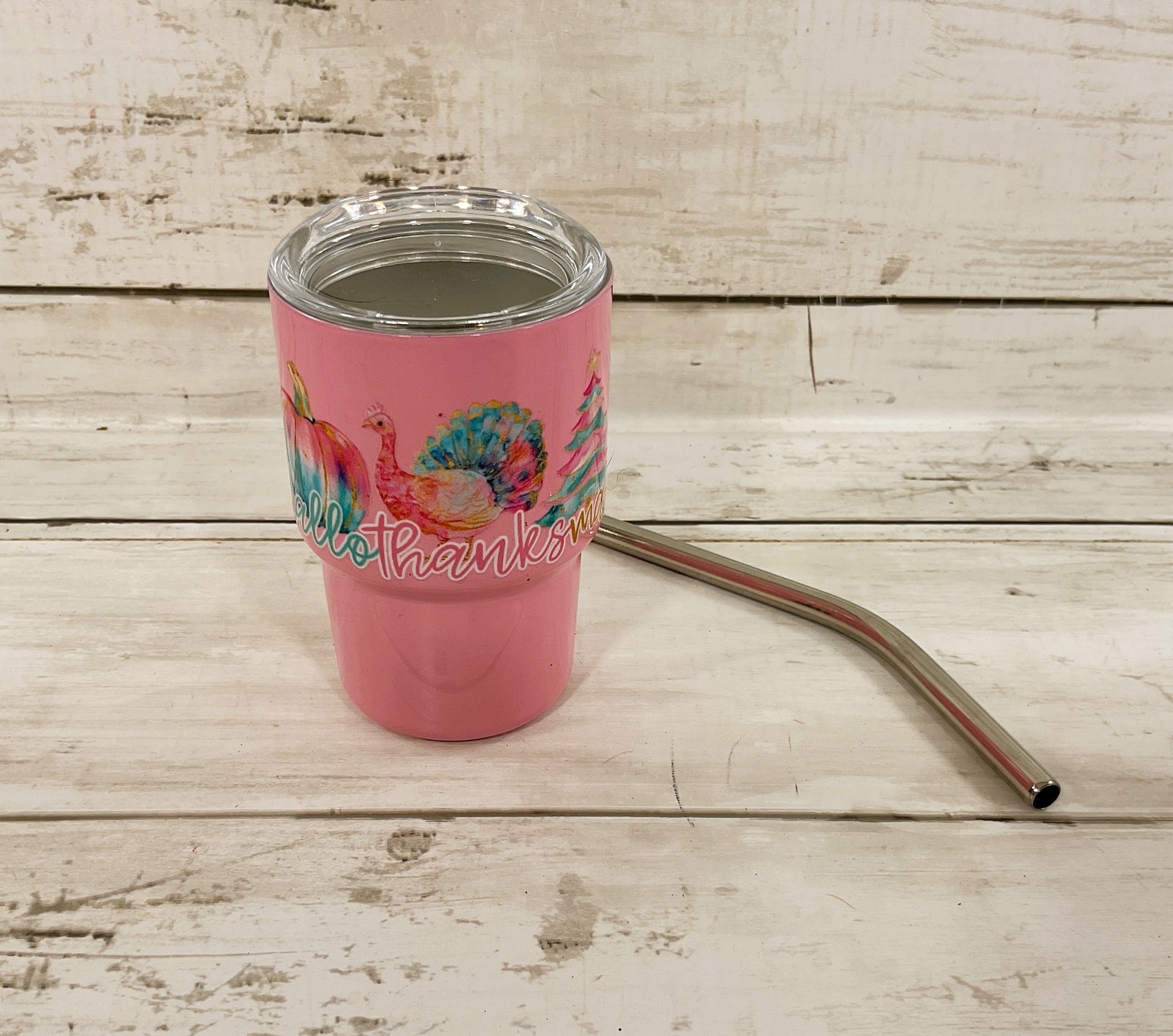 AGD Fall Decor - Pastel Multi Seasons Halloween Christmas Mini Tumbler