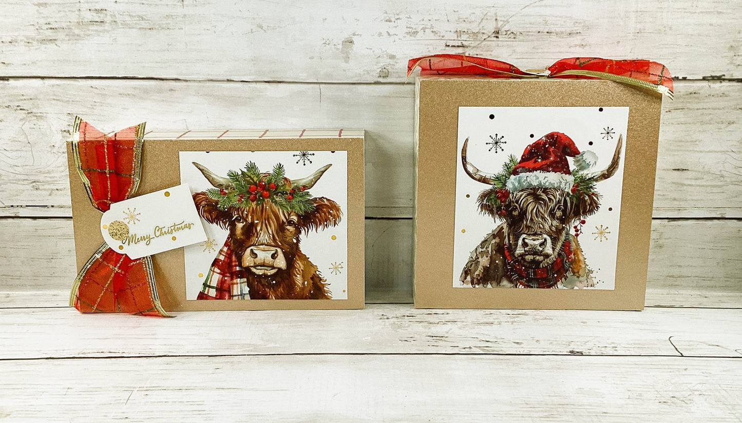 AGD Christmas Decor - Highland Scottish Cow Tabletop Box Signs 2pc Set