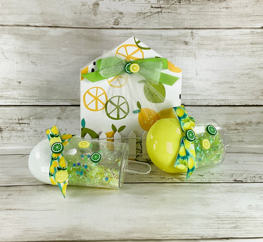 AGD Summer Decor - Lemon Lime House Popsicle Shaker 3pc Set