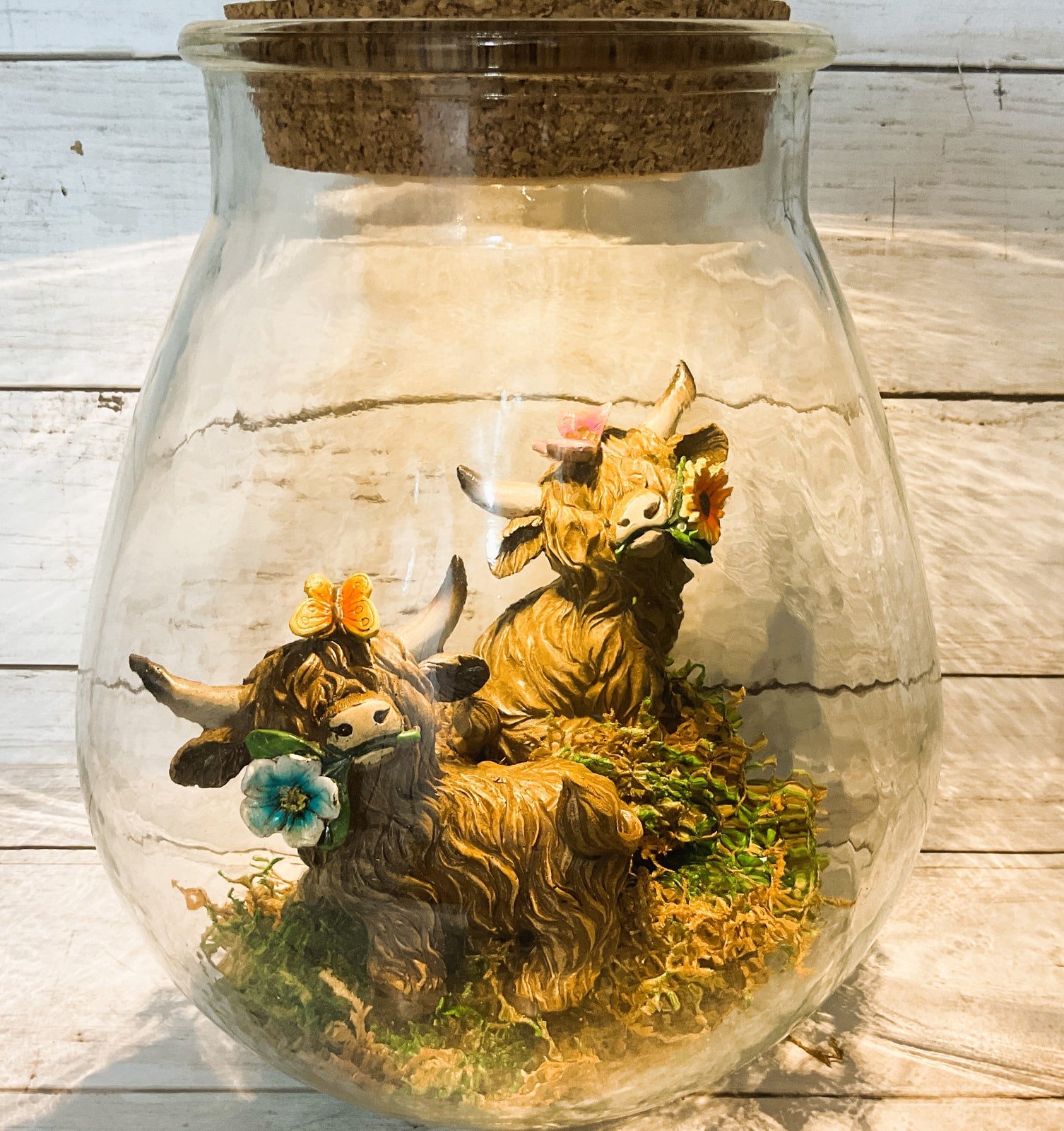 AGD Spring Decor - Lighted Terrarium Highland Cow Set