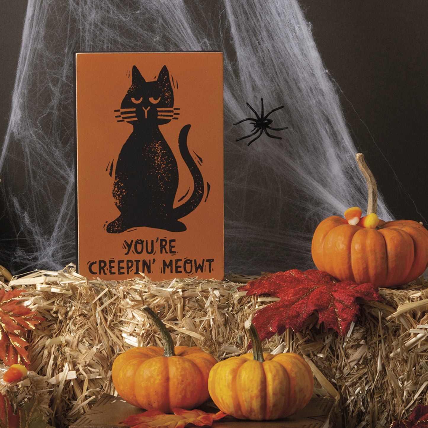 PBK Halloween Decor - Prim Creepin Me Out Black Cat Block Sign