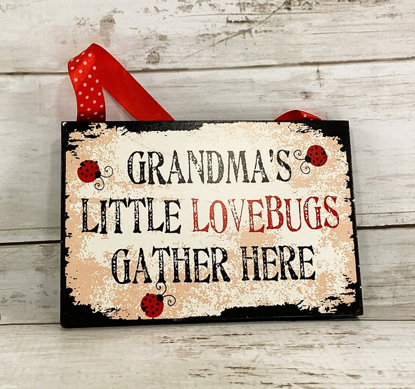 OWI Summer Decor -  Lady Luck Ladybug Small Sign Ornament