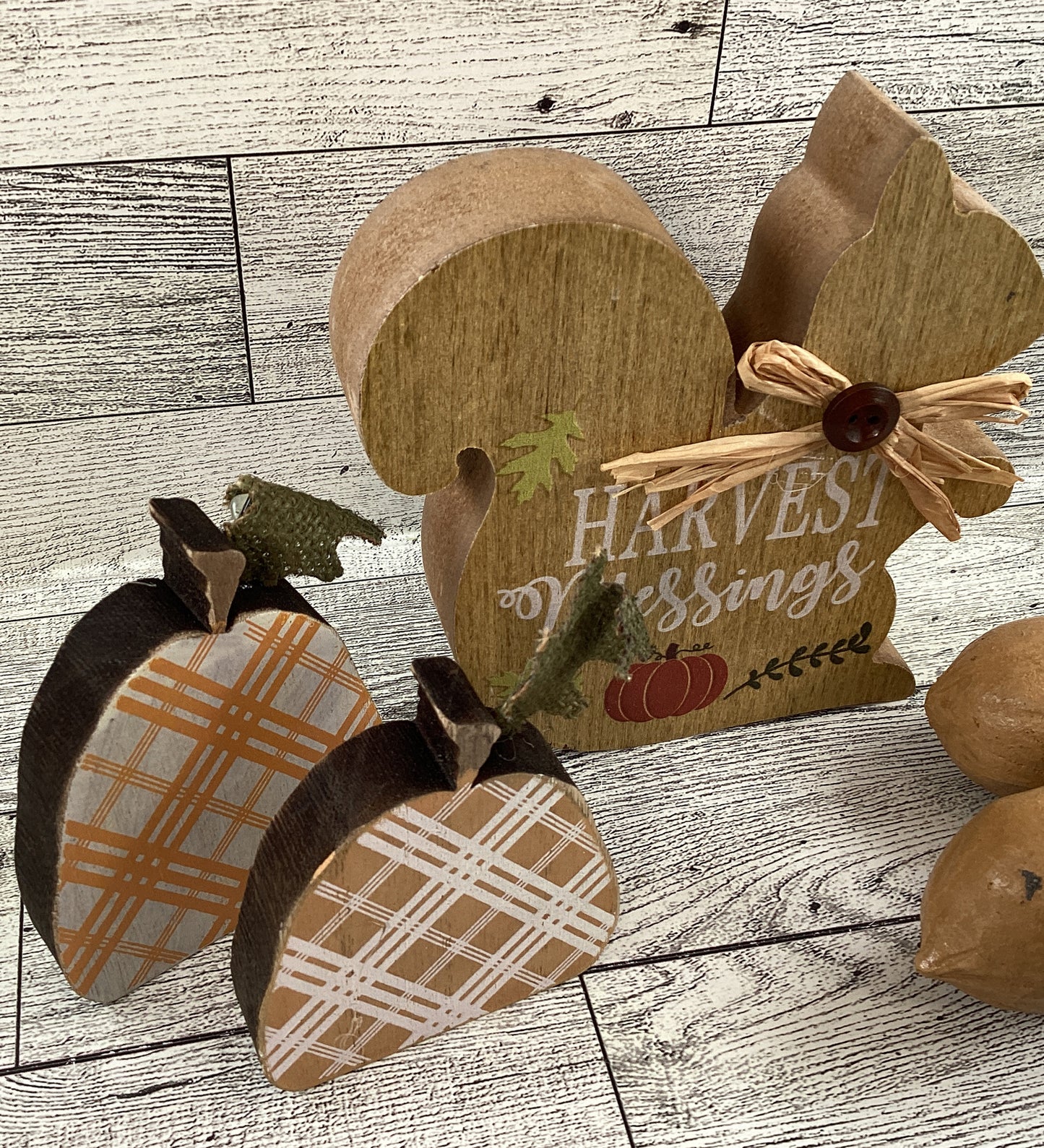 AGD Fall Decor - Chunky Wood Harvest Squirrel Pumpkins Resin Acorns 5pc