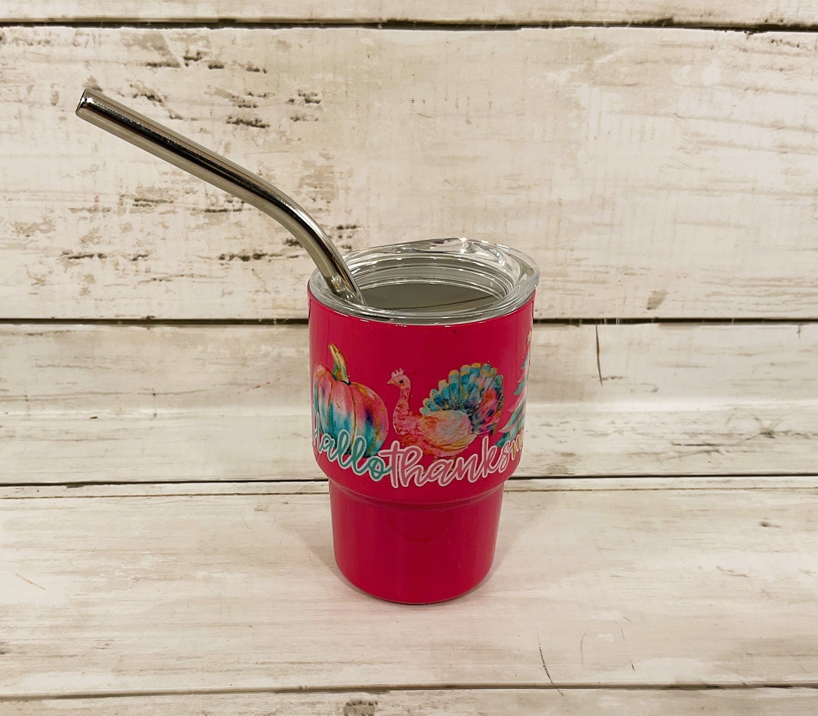 AGD Fall Decor - Pastel Multi Seasons Halloween Christmas Mini Tumbler