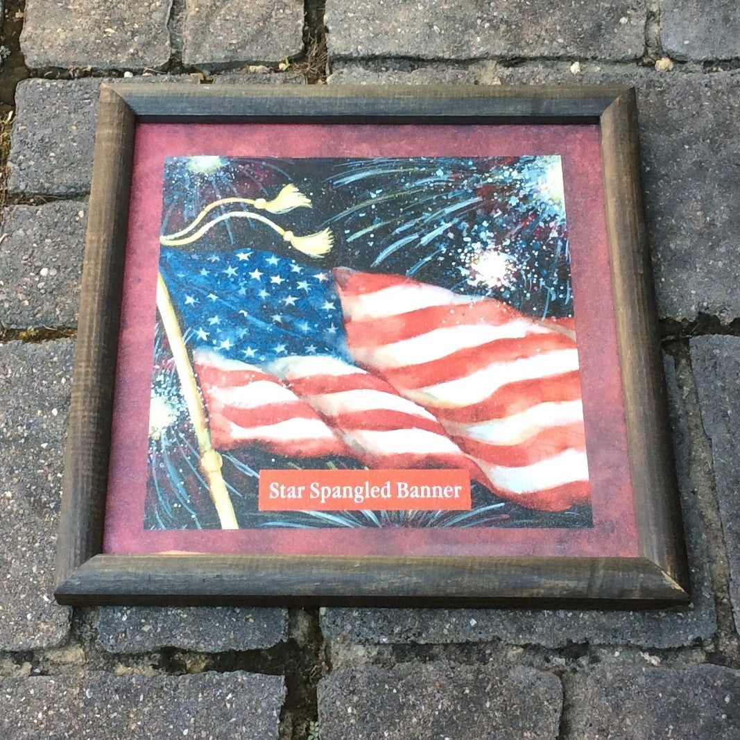 AGO Prim Americana 4th of July Framed Art - Fireworks at Night AGO 5-15/15