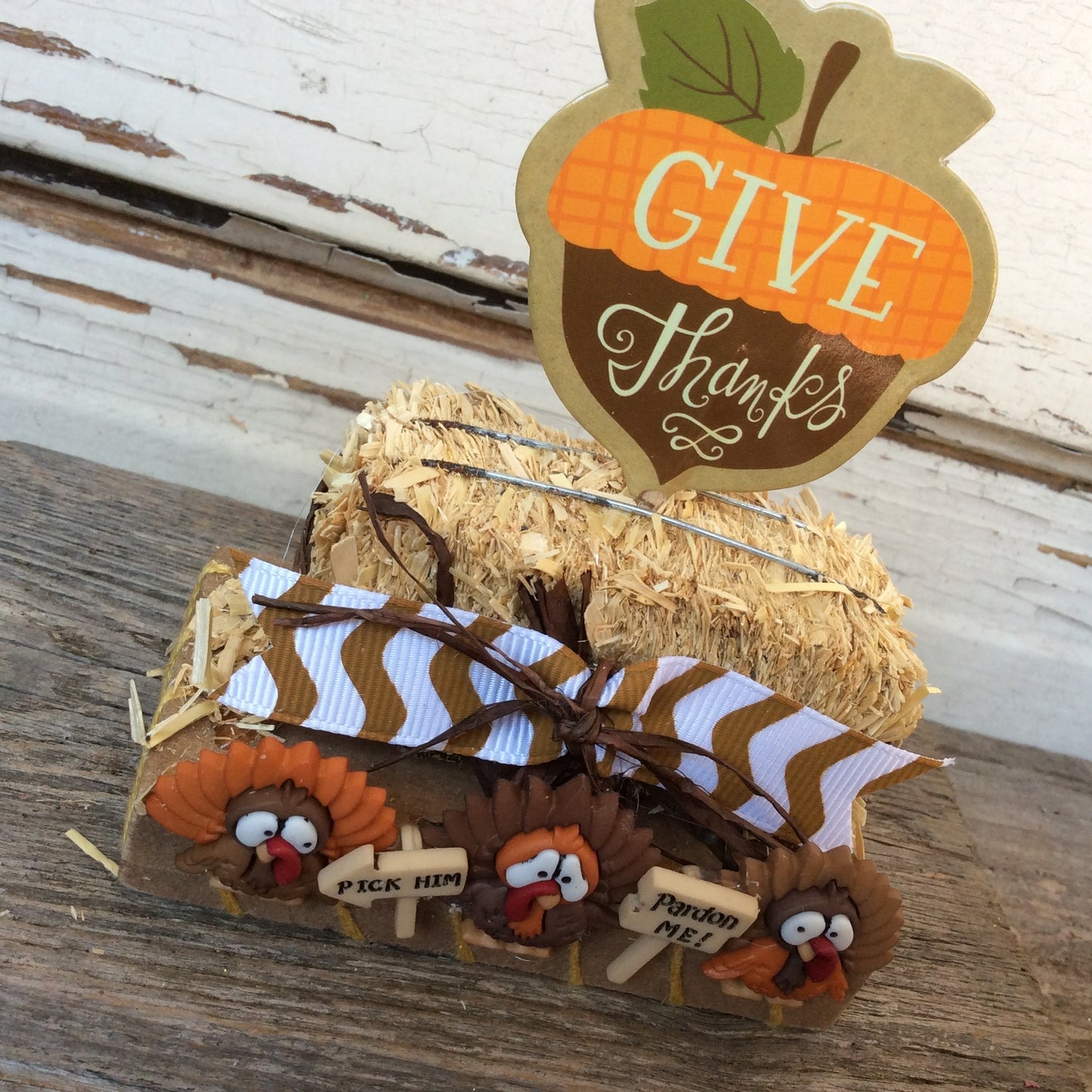 AGD Fall Decor - Give Thanks Miniature Turkey Display