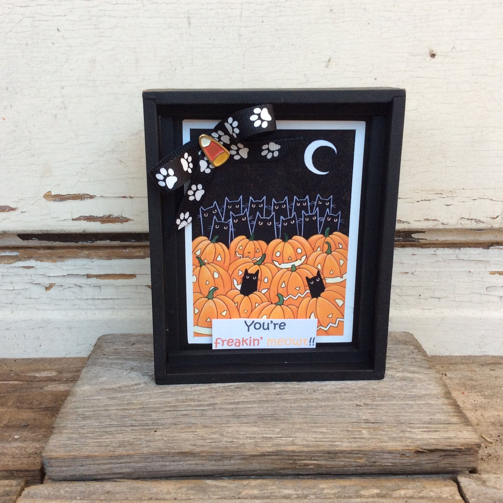AGD Halloween Decor - You're Freakin Meowt Cat Box Sign