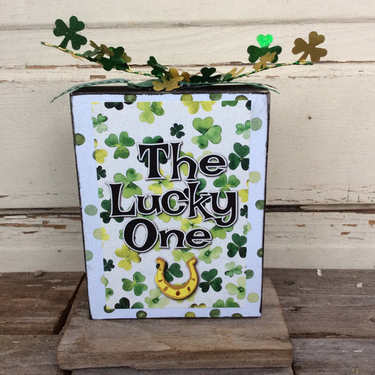 AGD Saint Patrick's Decor  –  Lucky One Horseshoe Box Sign