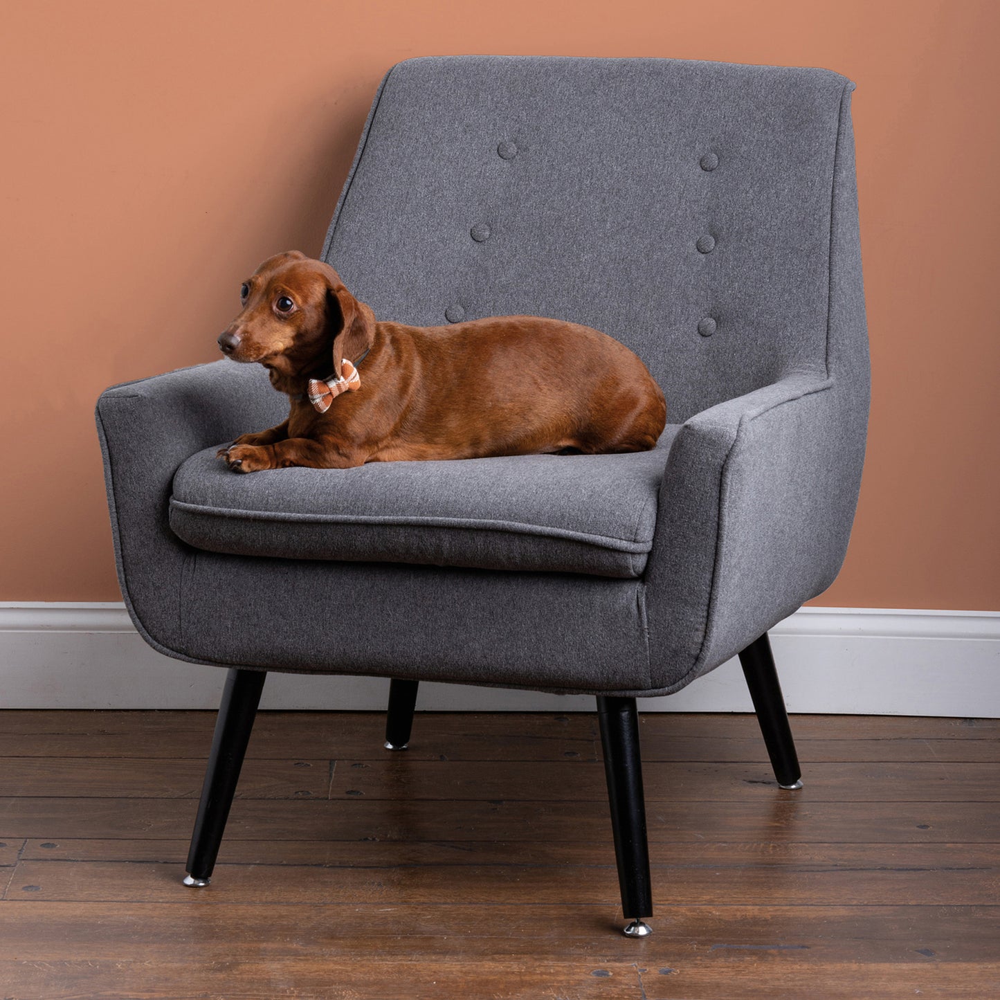 PBK Fall Pet Supply - SMALL DOG Harvest Autumn Plaid Bow Ties 3pc Set