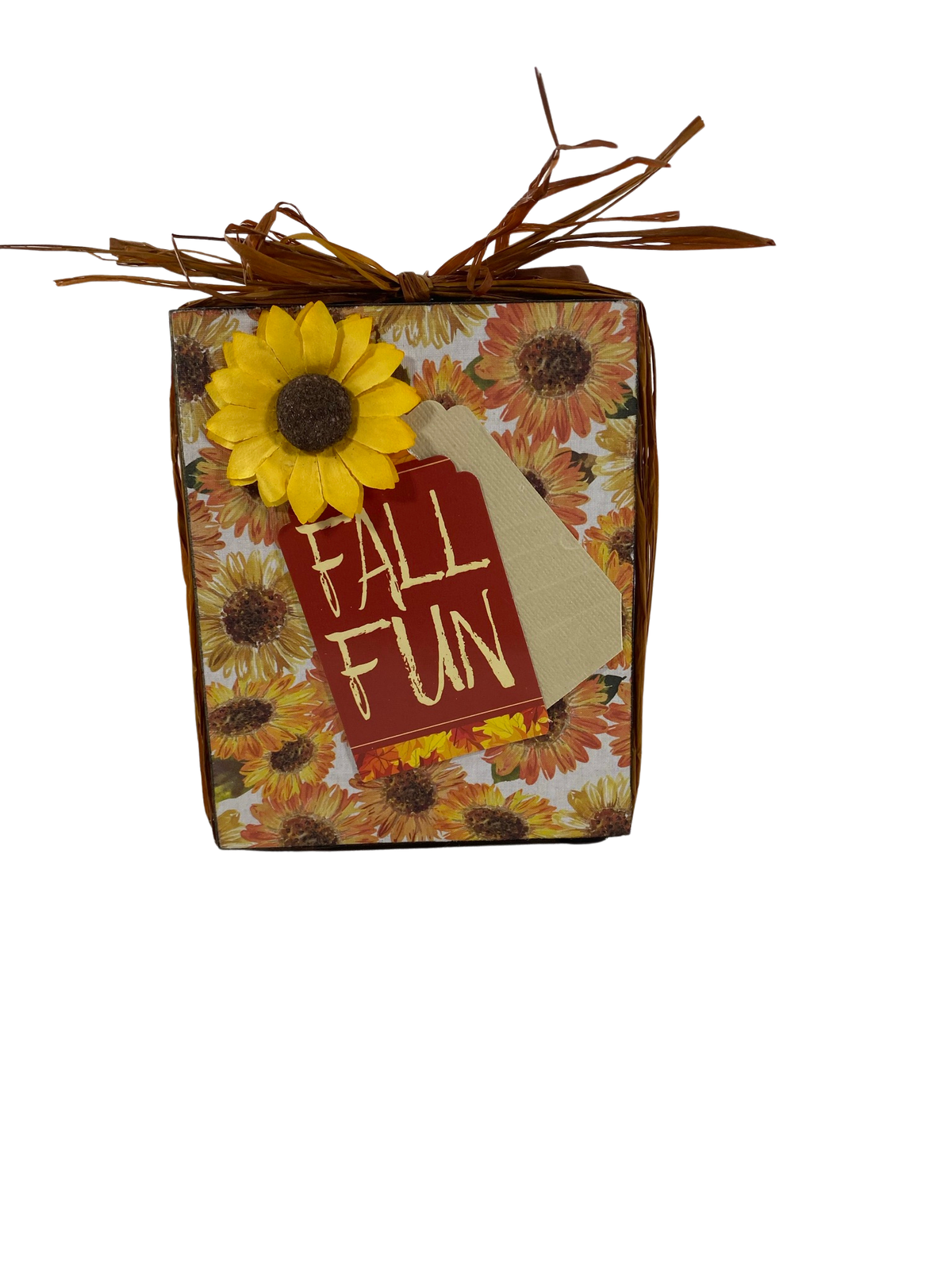 AGD Fall Decor - Fall Fun Thankful and Blessed Reversible Box Sign