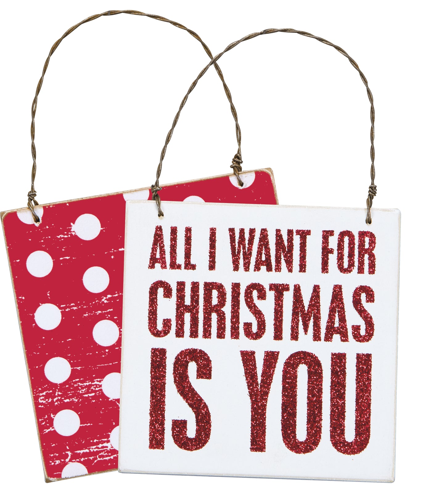 PBK Christmas Decor- All I Want Is You For Christmas Ornament