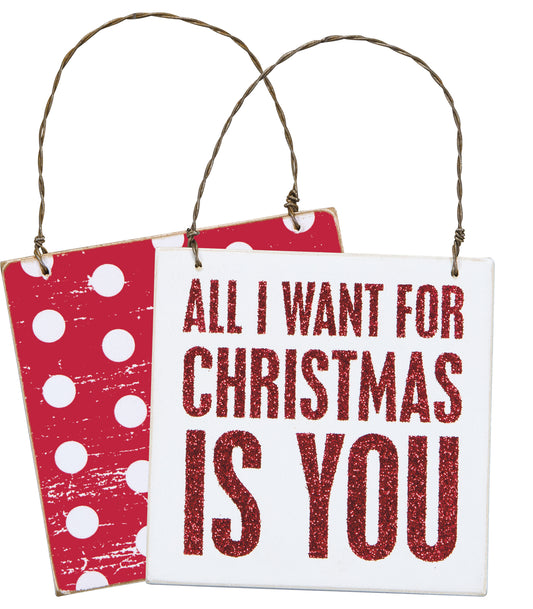 PBK Christmas Decor- All I Want Is You For Christmas Ornament