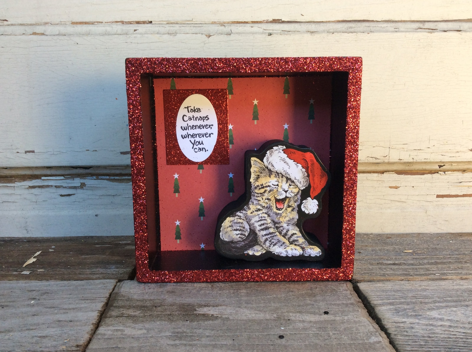 AGD Christmas Decor -Catnaps When You Can Shadow Box