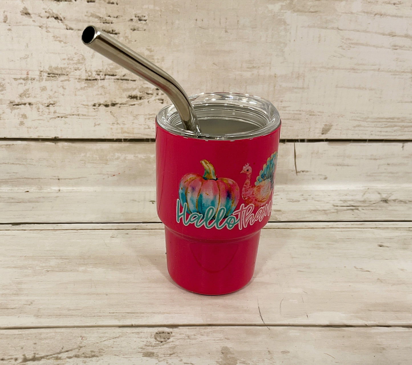 AGD Fall Decor - Pastel Multi Seasons Halloween Christmas Mini Tumbler