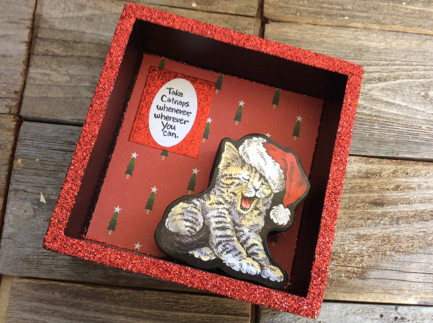 AGD Christmas Decor -Catnaps When You Can Shadow Box