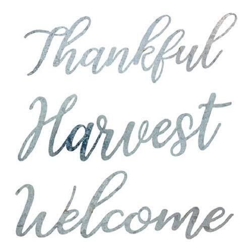 DT Fall Craft Supply - Thankful Harvest Welcome Metal Die Cut Words