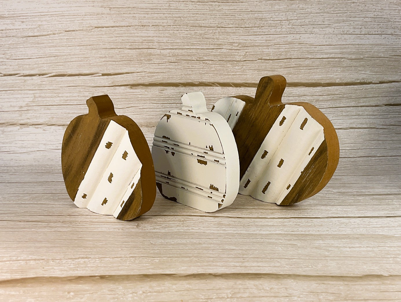 Collins Fall Decor - Small Natural and White Pumpkins 3pc Set
