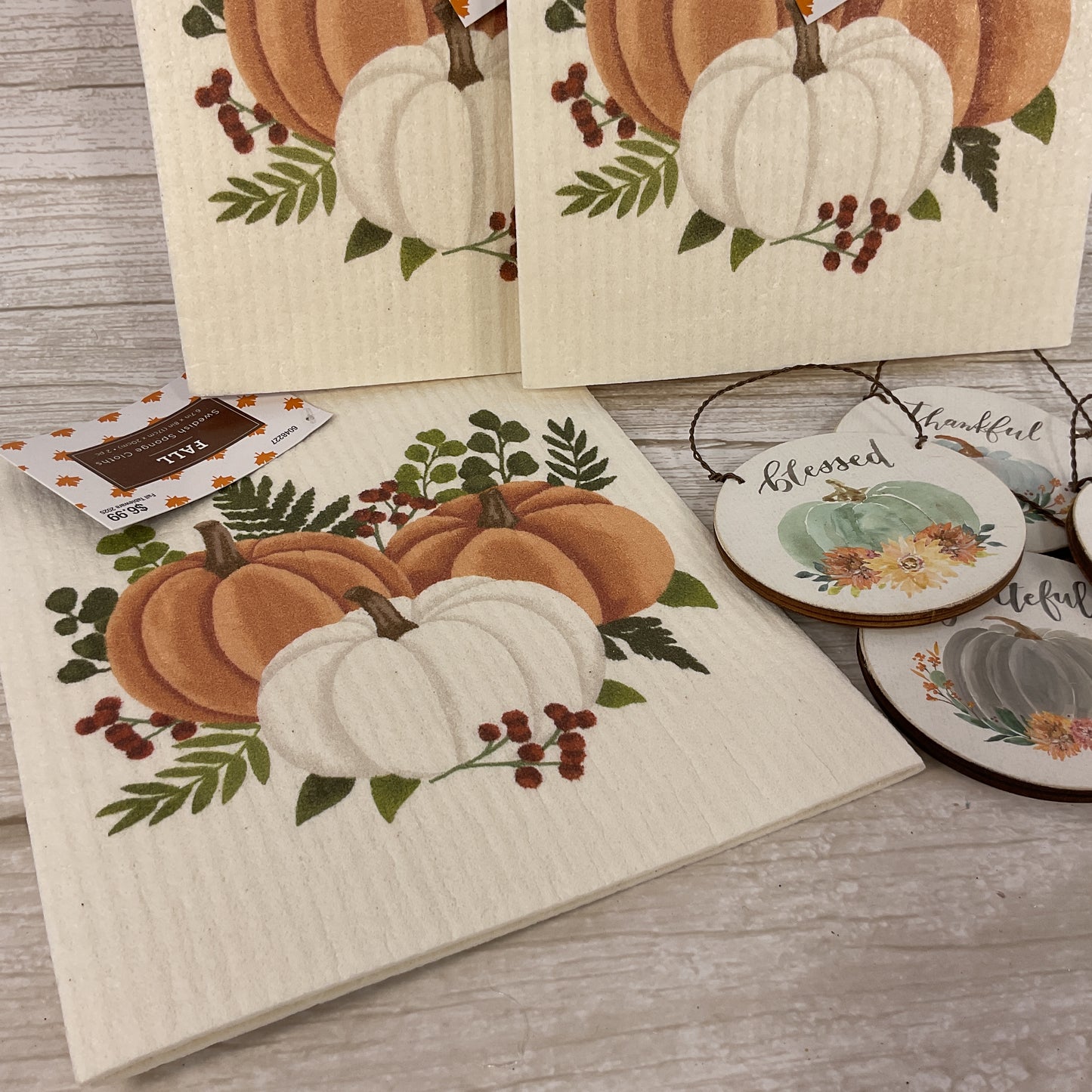 PBK HL Fall Decor - Swedish Sponge Clothes Watercolor Pumpkins Bundle