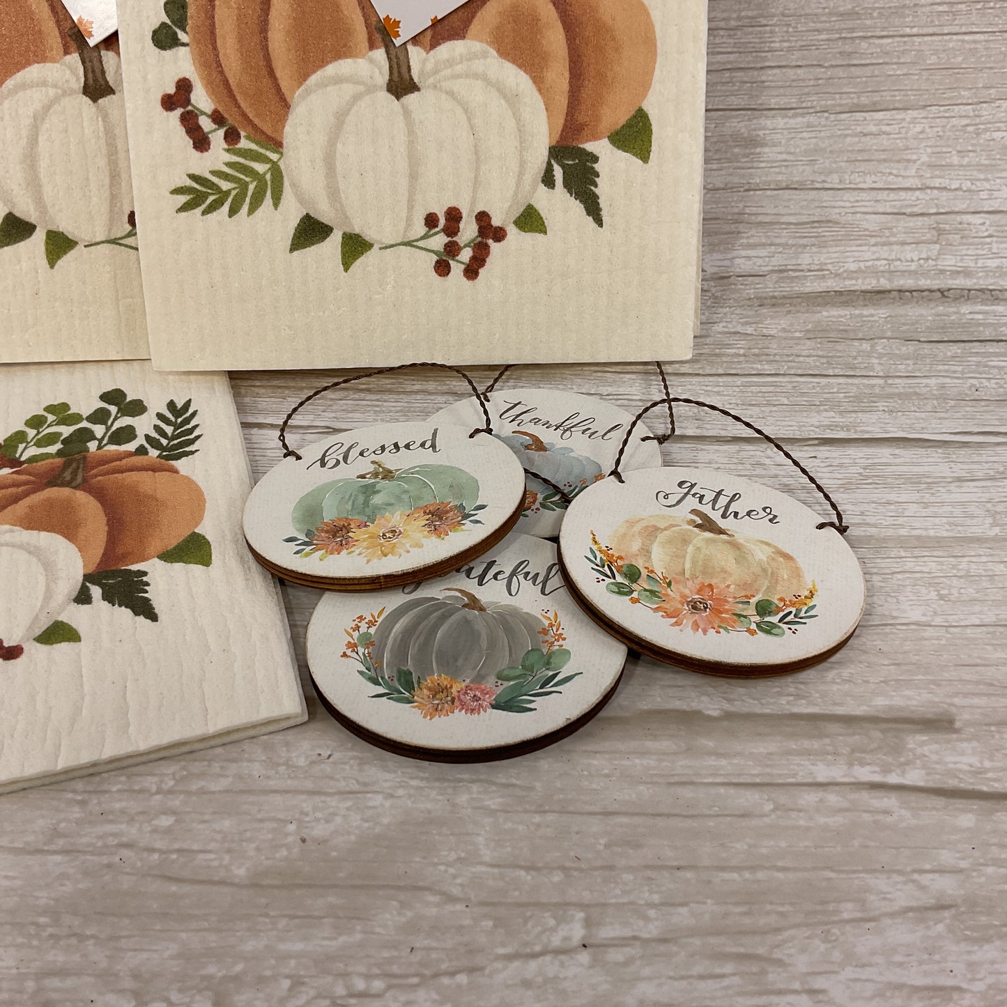 PBK HL Fall Decor - Swedish Sponge Clothes Watercolor Pumpkins Bundle
