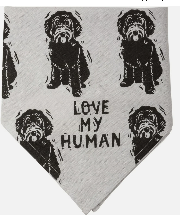 PBK Dog Supply - Best Doodle Human Ever Bandana